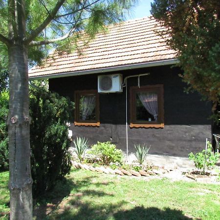 House For Rest Juliet Apartment Велика Горица Екстериор снимка