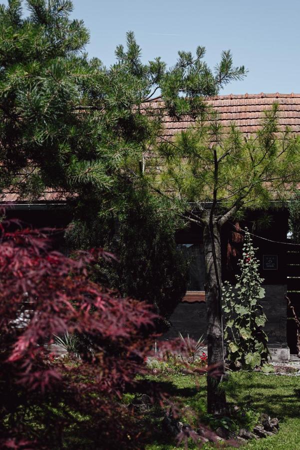 House For Rest Juliet Apartment Велика Горица Екстериор снимка